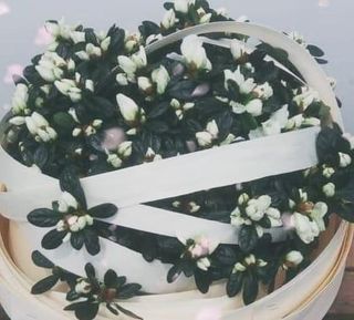 F2d65e00 dc7d 49d7 9f86 27b046214650