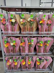 IMG 20230810 123154