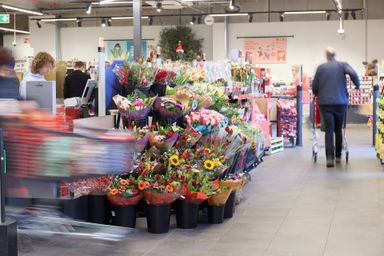 20231130 LR 7 E6 A1742