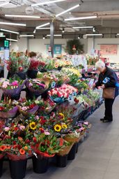 20231130 LR 7 E6 A1780