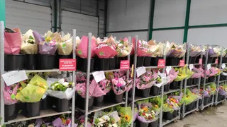 IMG 20220505 WA0010