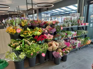 IMG 20220831 WA0001