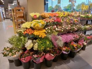 IMG 20220603 060003