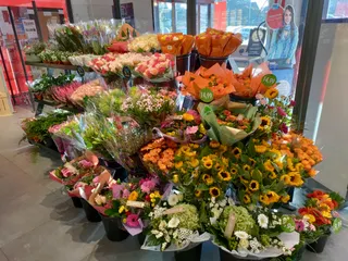 IMG 20220922 090740