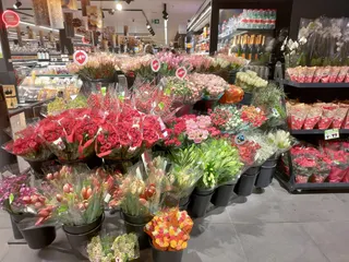 IMG 20221222 084643