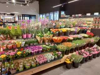 IMG 20230207 100700