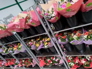 IMG 20230306 164649