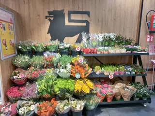 IMG 20230307 083918