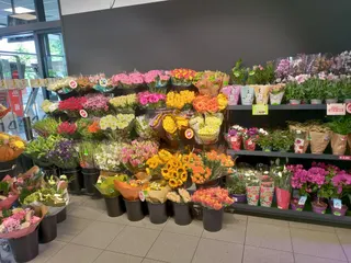 IMG 20230706 102936