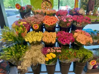 IMG 20230711 114103