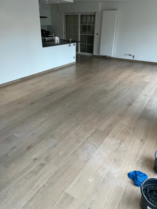 IMG 1706