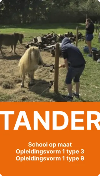 TAnder
